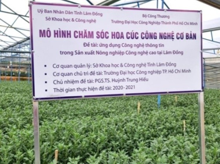 qkAZPI4q2UeR1dfYlam dong1.jpeg